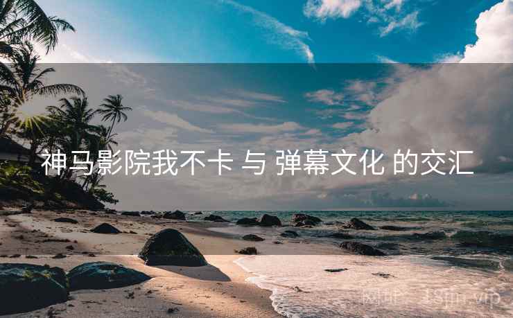 神马影院我不卡 与 弹幕文化 的交汇  第2张
