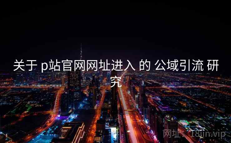 关于 p站官网网址进入 的 公域引流 研究  第2张