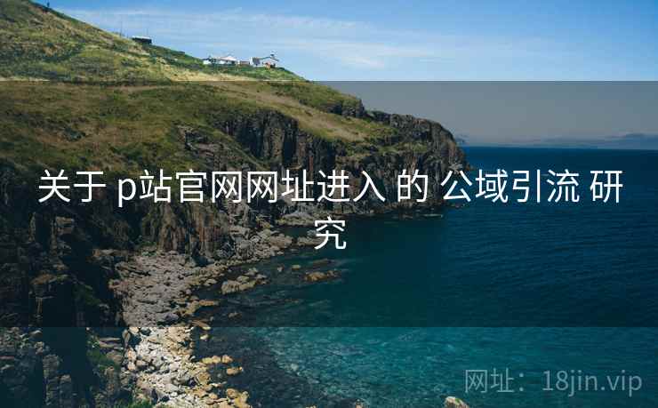 关于 p站官网网址进入 的 公域引流 研究  第1张