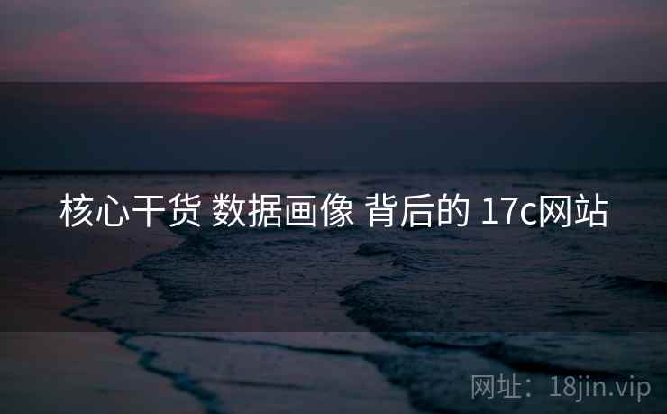 核心干货 数据画像 背后的 17c网站  第2张