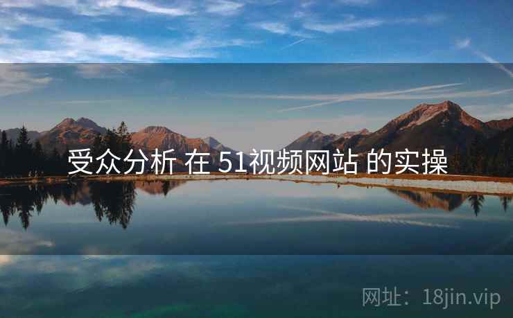 受众分析 在 51视频网站 的实操  第1张