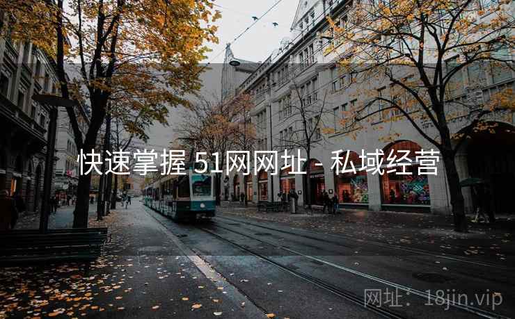 快速掌握 51网网址 - 私域经营  第2张
