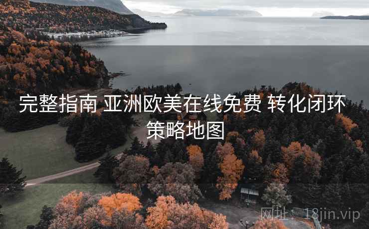 完整指南 亚洲欧美在线免费 转化闭环 策略地图  第1张