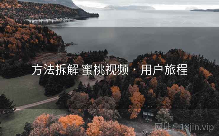 方法拆解 蜜桃视频 · 用户旅程 第1张 方法拆解 蜜桃视频 · 用户旅程 第1张