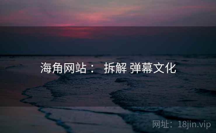 海角网站 : 拆解 弹幕文化 第1张 海角网站 : 拆解 弹幕文化 第1张